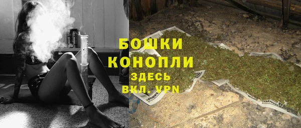 не бодяженный Осташков