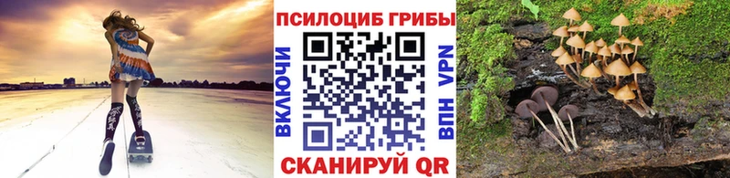 Галлюциногенные грибы Magic Shrooms  ОМГ ОМГ ссылка  Власиха  купить  